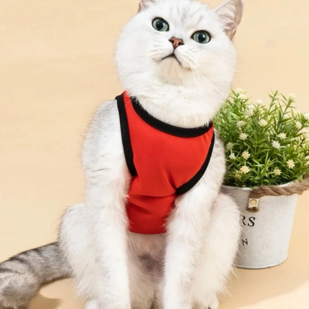 Letter graphic pet tank‎